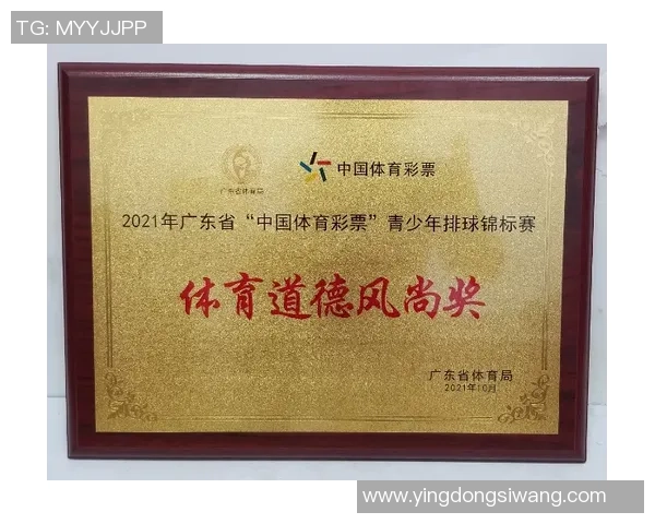 深圳排球队在全国排球比赛经验排行榜中荣获第九名的荣耀成就分析