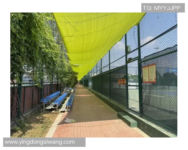 赛后复盘：武汉网球队vs西安网球队的节奏